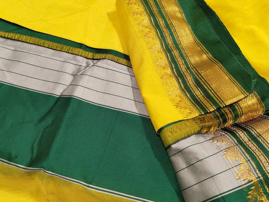 Golden Meadow Ilkal Saree